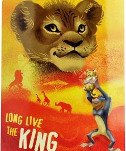The Northwest Company LION KING FUTURE KING, Orange Blankets