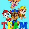 The Northwest Company PAW PATROL FANTASTIC TEAM