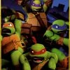 The Northwest Company TEENAGE MUTANT NINJA TURTLES GRUNGY NINJAS, Green Blankets