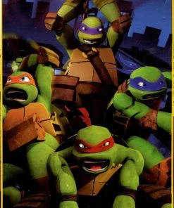 The Northwest Company TEENAGE MUTANT NINJA TURTLES GRUNGY NINJAS, Green Blankets